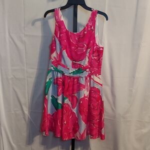 NWT VINEYARD VINES DRESD